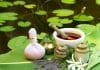 AYUSH to join hands with WHO to Spread the Knowledge of Ayurveda