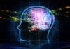Unraveling the Gene for Human Intelligence and Brain Development