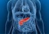 Zealand Pharma’s Glucagon Analog Used to Build Bionic Pancreas System