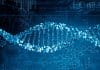 DNA functions are controlled by Core proteins
