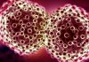 Cancer cells can now be killed in just two hours