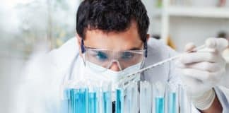 R&D Job Openings @ CSIR National Botanical Research Institute