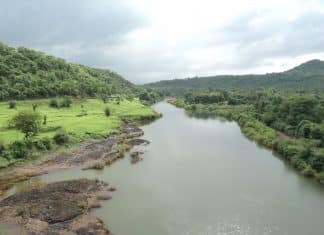 “Trash Robot”: A Multiplayer Game to Collect River Debris