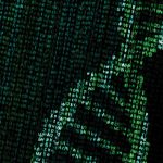 Kalyani University Hiring for Bioinformatics Trainee Posts