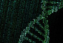 Kalyani University Hiring for Bioinformatics Trainee Posts