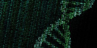 Kalyani University Hiring for Bioinformatics Trainee Posts