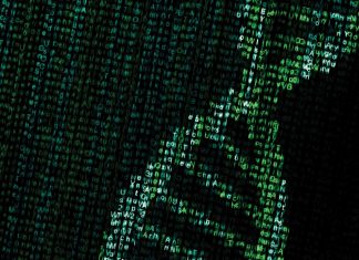 Kalyani University Hiring for Bioinformatics Trainee Posts