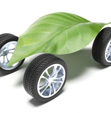 Appointment of Project Fellow in DST-SERB Sponsored Project @ Bharathidasan University