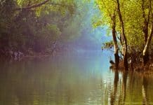 Walk-In for Two Project Assistants Position @ Dept of Biological Sciences, Presidency University, Kolkata