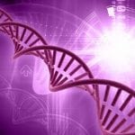 Research Assistant Openings @ St. John Research Institute, Bangalore Project Research Fellow