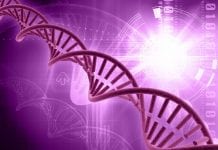 Research Assistant Openings @ St. John Research Institute, Bangalore Project Research Fellow