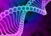 Hold Your Horses!! National Academies Caution Against Brash Gene Drive Use