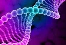 Hold Your Horses!! National Academies Caution Against Brash Gene Drive Use