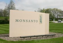 Monsanto having talks with Bayer and others over ‘Alternative Strategic Options’