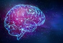 Damaged Neurons Can Be Repaired Through Mobilization Of Mitochondria