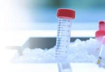 Govt Job : HLL Lifecare Ltd Hiring Clinical Research Associates | Salary : Rs.30,000 – 45,000/- pm