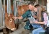 Kerala Vets Identify Antimicrobial Peptides As Potential Anti Drug-Resistant Bacteria