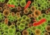 New Drug Delivery Systems For Bacteria