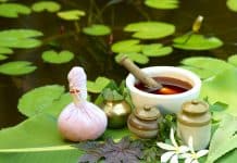 CSIR launched scientifically validated Rs 5 anti-diabetes herbal drug