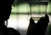 Scientists discover why it’s so hard to know if a person is infected with Zika virus