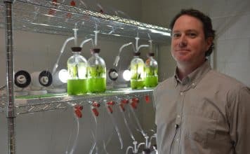 Apply For JRF Post @ Division of Animal Nutrition, ICAR – Indian Veterinary Research Institute