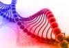 Taste-Testing DNA – Selective Sequencing DNA Fragments Soon A Reality