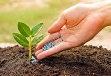 Public Sector Firms To Help Revive Fertilizer Units