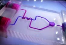 New Microfluidic Device May Help Better Predict The Toxic Side-Effects Of New Drugs