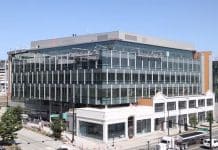 Researchers release survey of activity in the mouse visual cortex