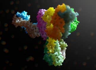 Study Elucidates Role of Soluble Antibodies in Tumor Progression