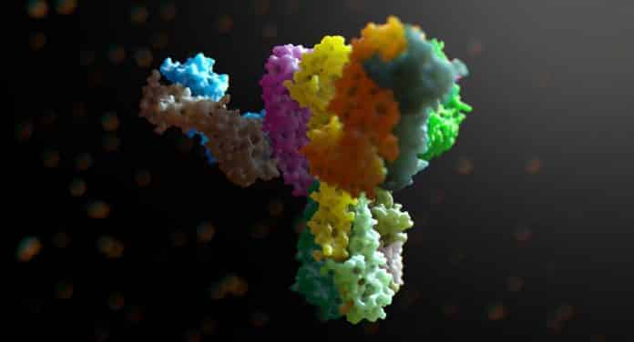 Study Elucidates Role of Soluble Antibodies in Tumor Progression