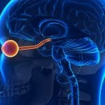 The Eyes Help Researchers Look Into The Brains Of Alzheimer’s Patients
