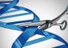 US panel gives a green light to the FIRST CRISPR clinical trial