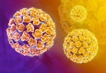 Cervical Cancer Identifying HPV Assay Approved by the USFDA
