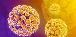 Cervical Cancer Identifying HPV Assay Approved by the USFDA