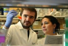 Work as SRF for Health Foods Project @ CIPHET