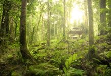 Malaysian Government Banks On Biotechnology For Growth