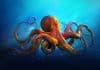 Researchers develop smart adhesive sensors | Take inspiration from octopus