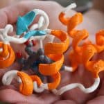 Dicer Proteins That Detect and Chop up a Viruses’ Genetic Material