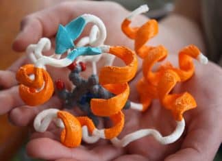Dicer Proteins That Detect and Chop up a Viruses’ Genetic Material