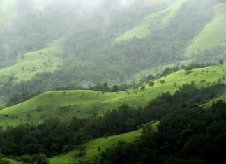 JRF Job @ Himalayan Forest Research Institute