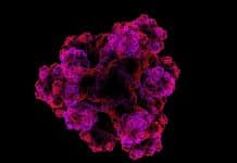 Transporter Protein Could Help Pump (Out) Bacteria with Antibiotics