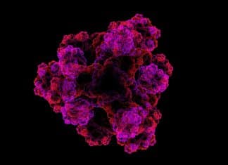 Transporter Protein Could Help Pump (Out) Bacteria with Antibiotics