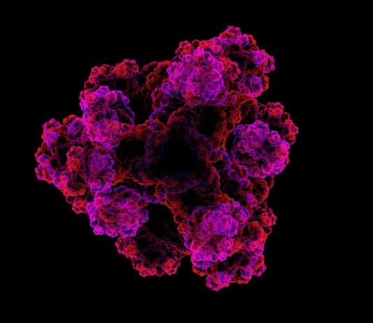 Transporter Protein Could Help Pump (Out) Bacteria with Antibiotics