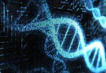 Computers Could Take Over The Quality Control Of Genetic Databases