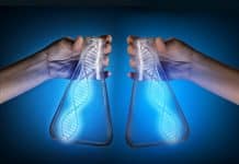 Untangling The Sticky Biosimilar Web – How Indian Companies Should Exploit This Frontier