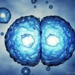 Scientist-I (Embryologist) Vacancy With Rs. 58,000/- Salary