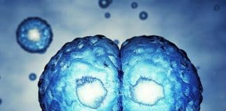 Scientist-I (Embryologist) Vacancy With Rs. 58,000/- Salary