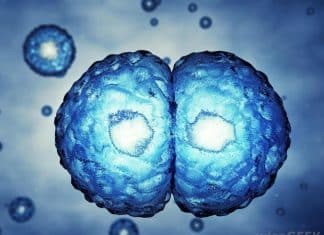 Scientist-I (Embryologist) Vacancy With Rs. 58,000/- Salary