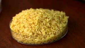 goldenrice